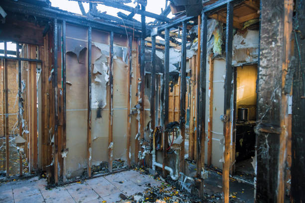 Professional Fire Damage Assessment technician working in Enumclaw, WA