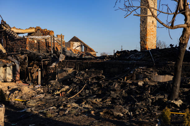 Reliable Fire Damage Assessment contractor in Enumclaw, WA by Fire Damage Doption
